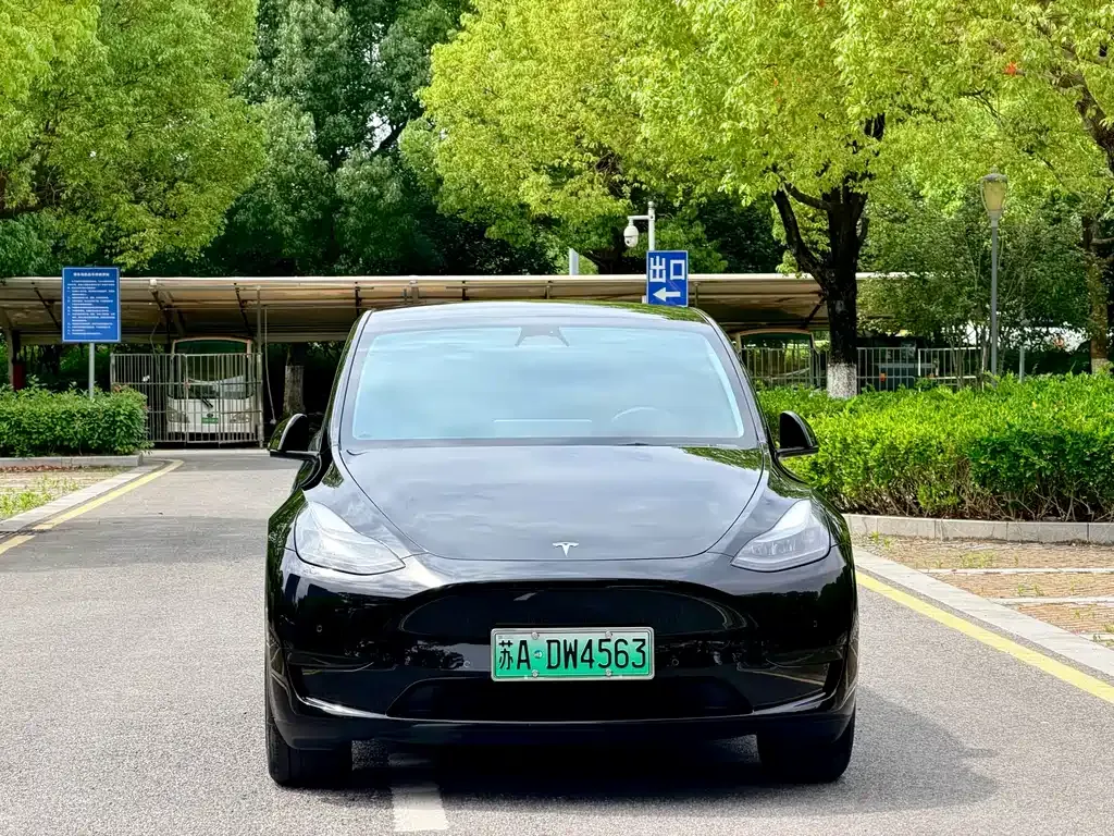 Tesla Model Y — фото 4