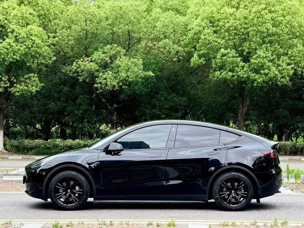 Tesla Model Y — фото 8