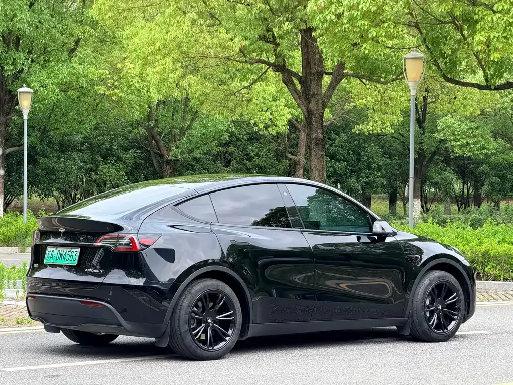 Tesla Model Y — фото 10