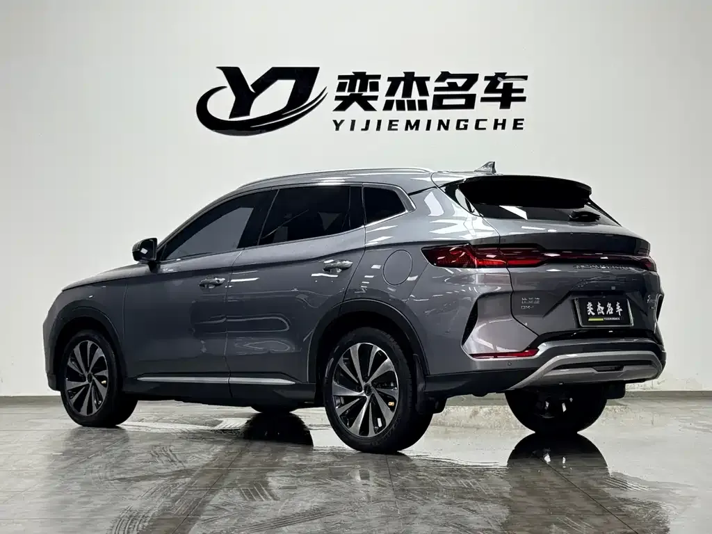 BYD PLUS New Energy — фото 8