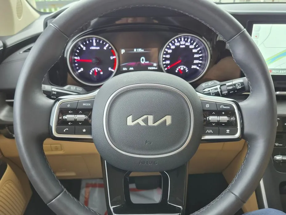 Kia Carnival — фото 10