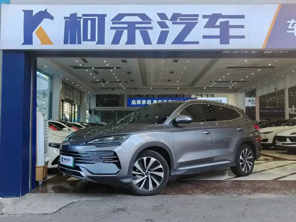 BYD PLUS New Energy — фото 1