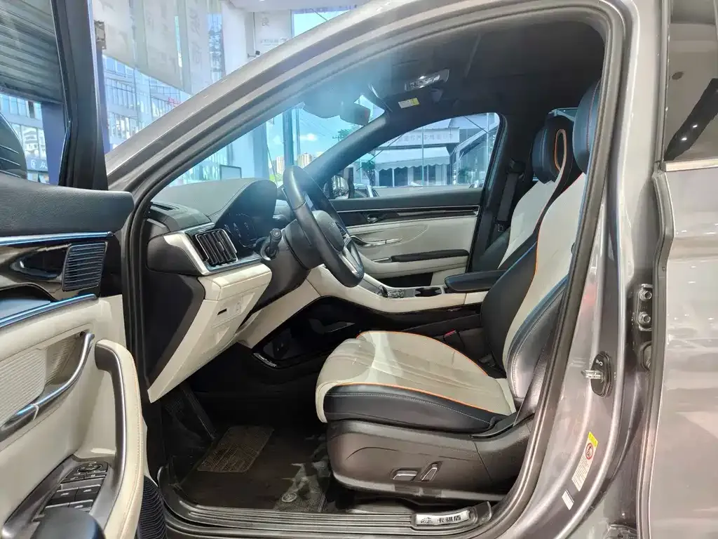 BYD PLUS New Energy — фото 10