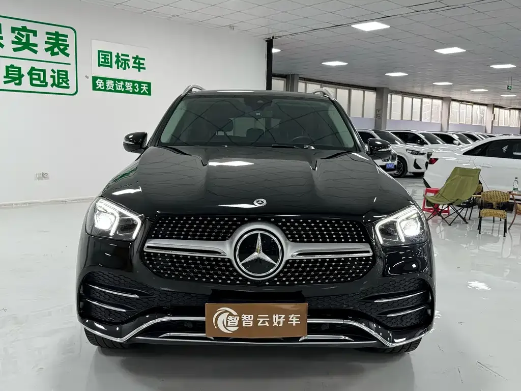 Mercedes-Benz 奔驰GLE(进口) — фото 6