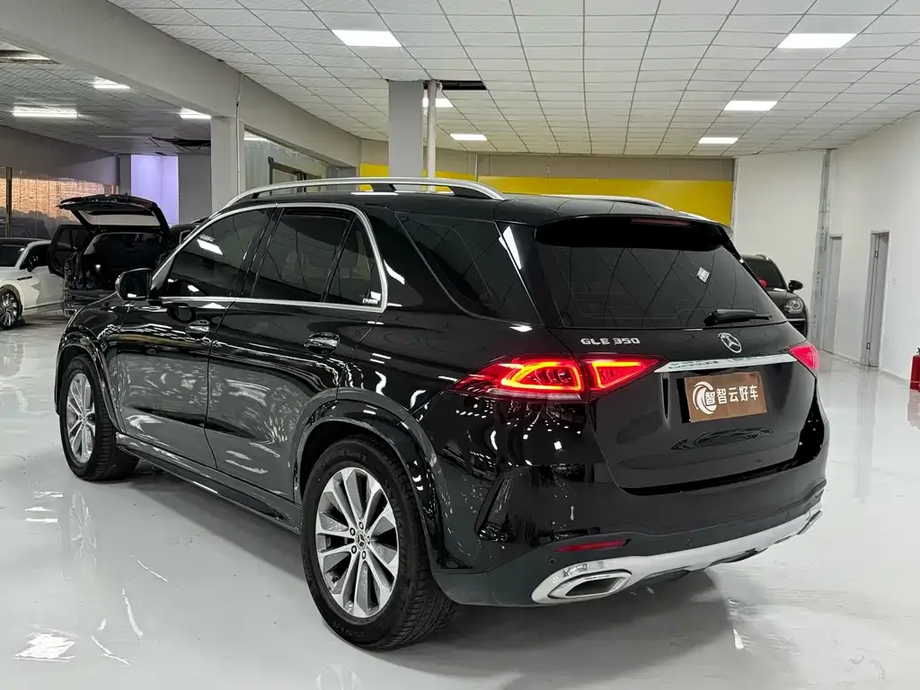 Mercedes-Benz 奔驰GLE(进口) — фото 5
