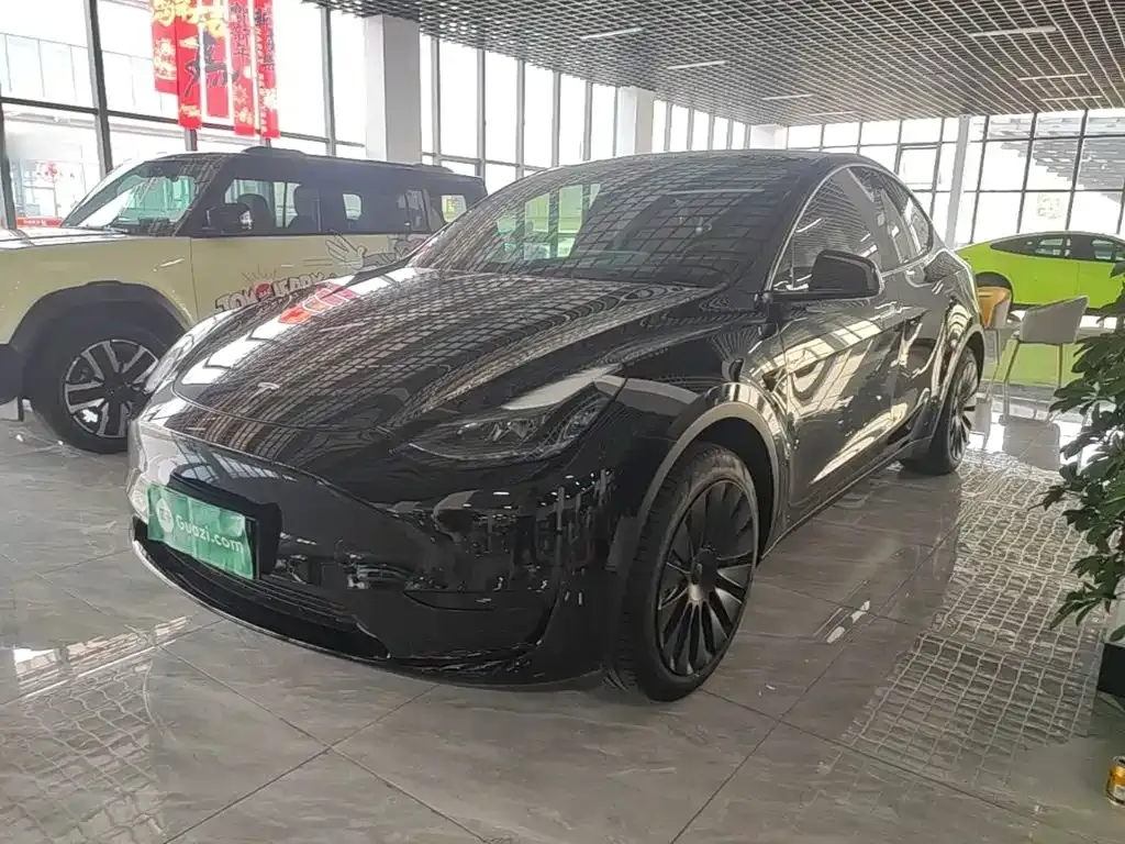 Tesla Model Y — фото 7