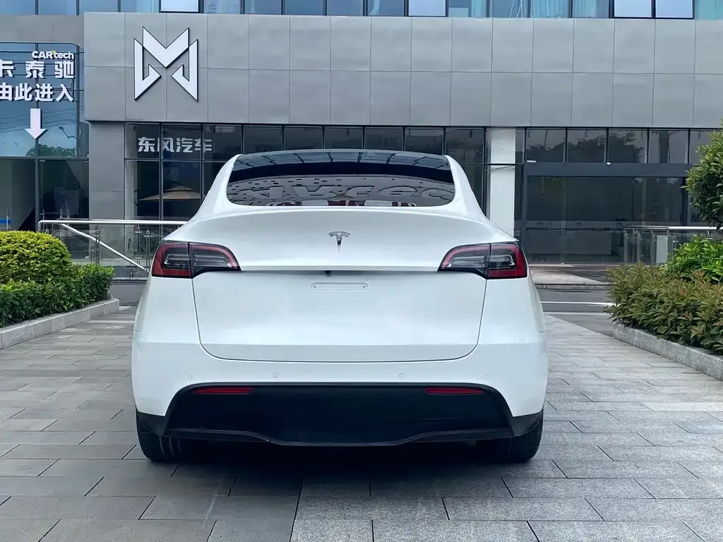 Tesla Model Y — фото 3