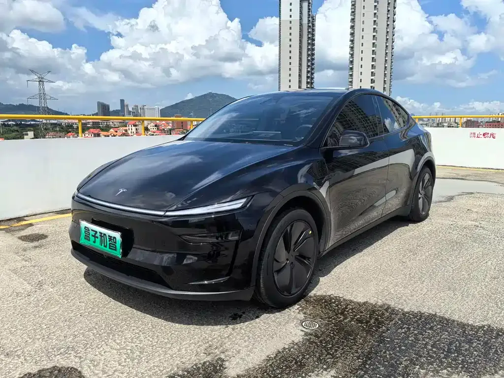 Tesla Model Y — фото 1
