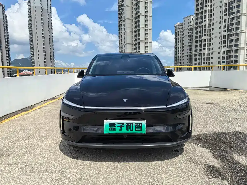 Tesla Model Y — фото 10