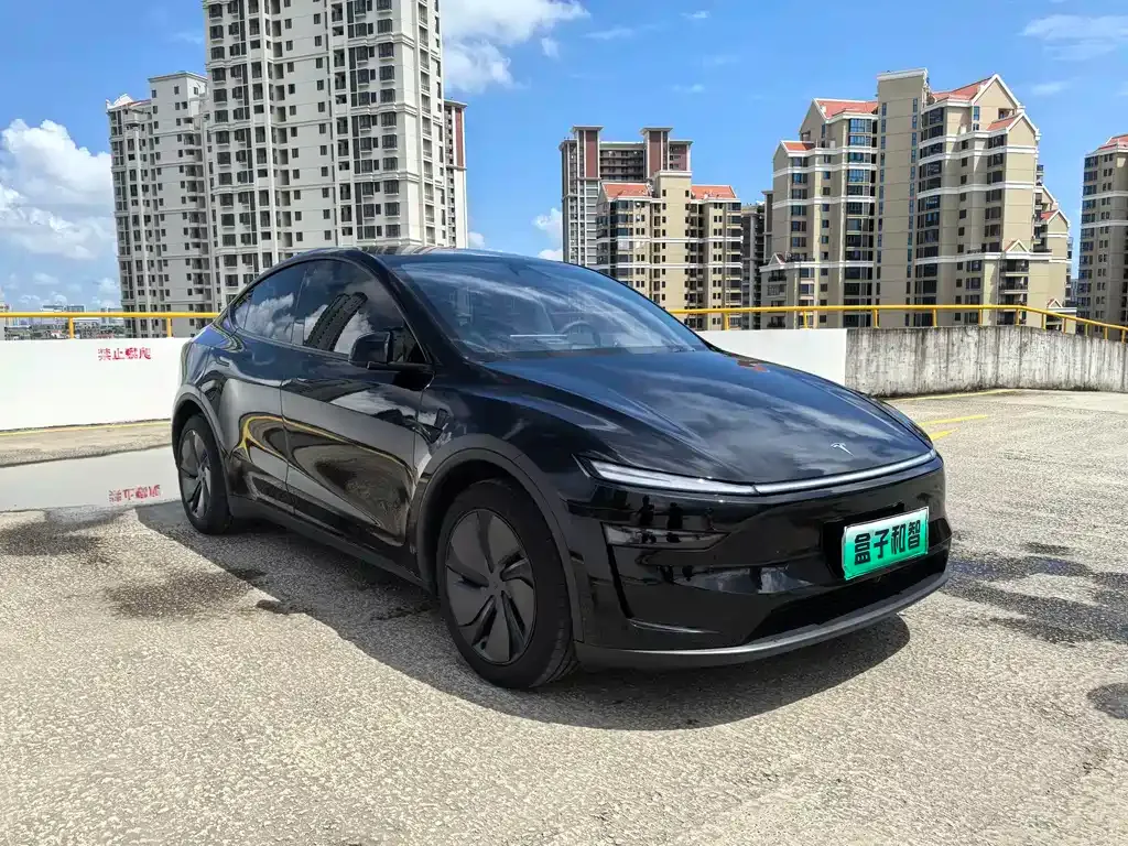 Tesla Model Y — фото 9