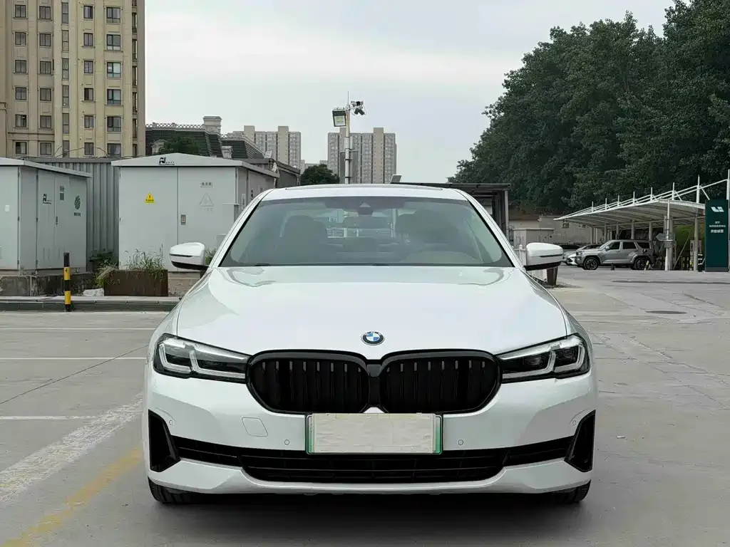 BMW 5 Series New Energy 2021 из CN, фото 6
