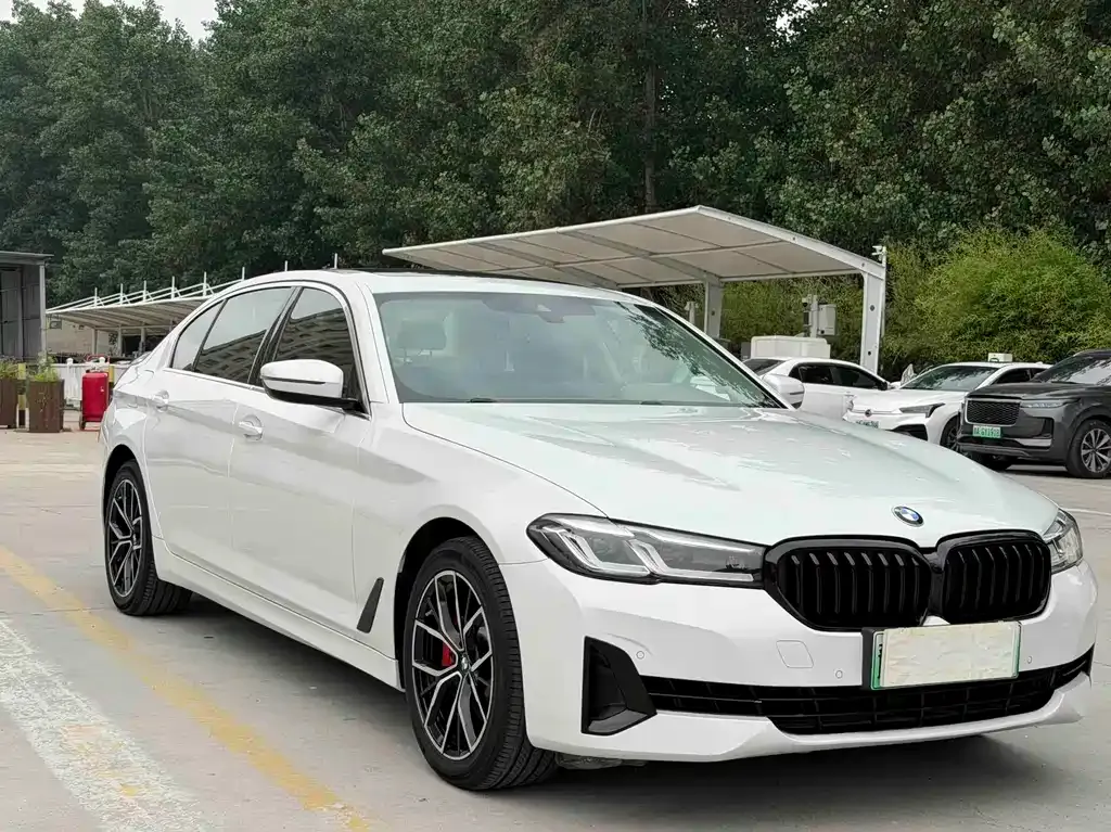 BMW 5 Series New Energy 2021 из CN, фото 9