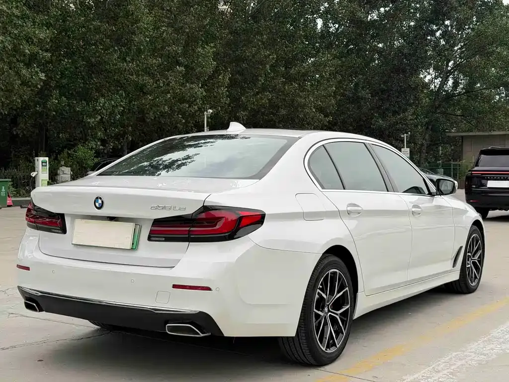 BMW 5 Series New Energy 2021 из CN, фото 10