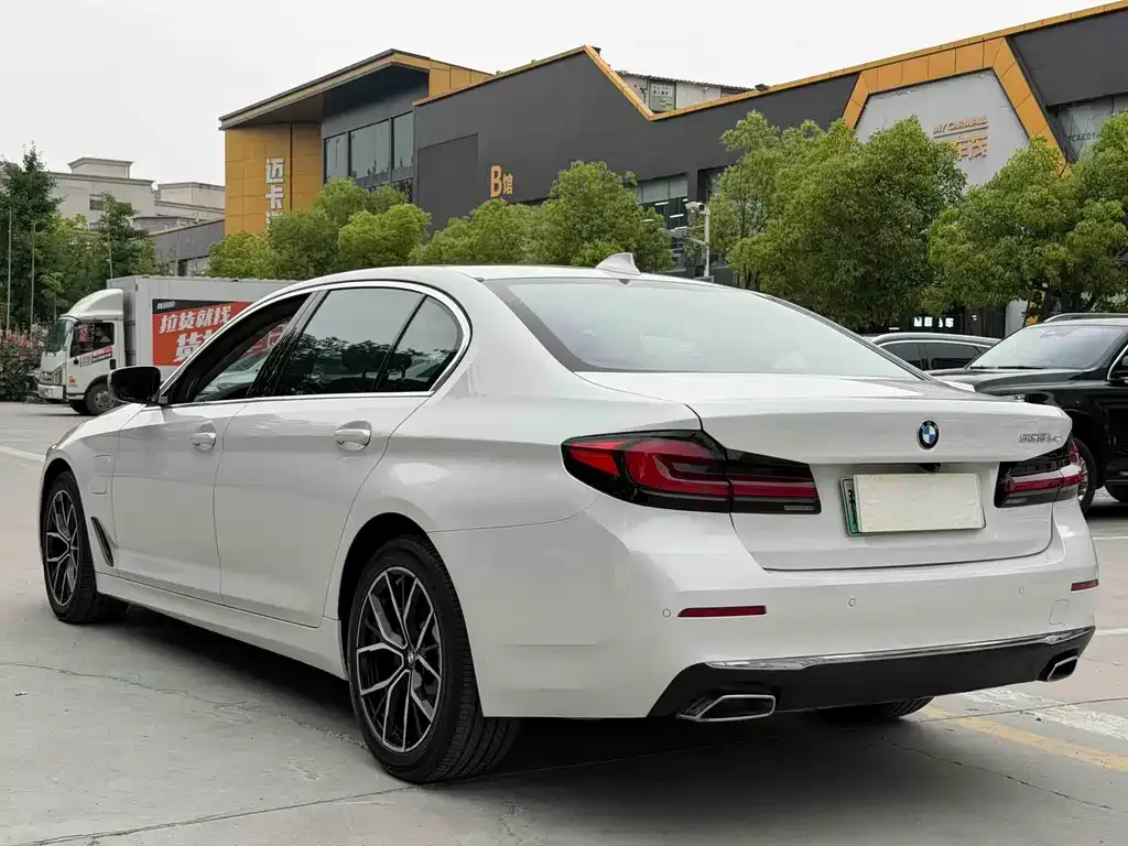 BMW 5 Series New Energy 2021 из CN, фото 4