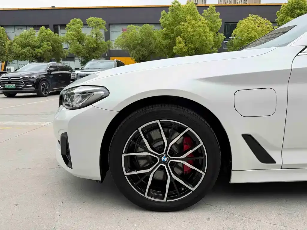 BMW 5 Series New Energy 2021 из CN, фото 7