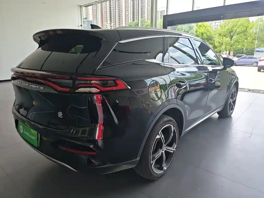 BYD Tang New Energy — фото 4