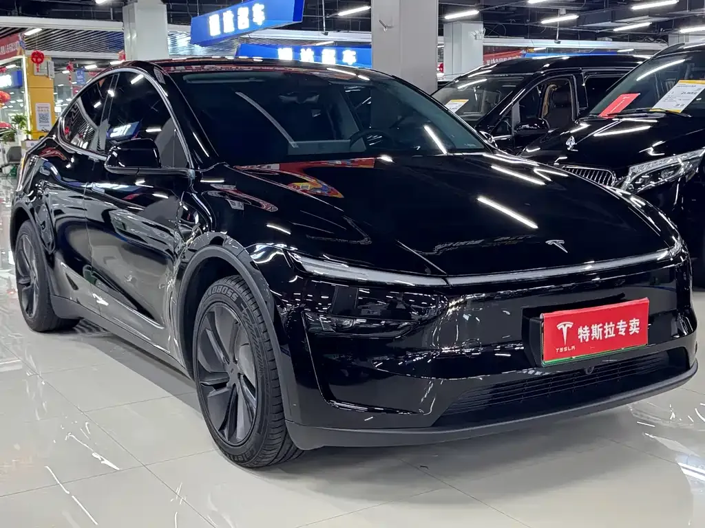 Tesla Model Y — фото 9