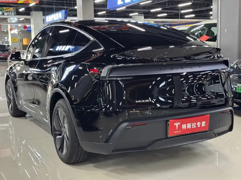 Tesla Model Y — фото 7