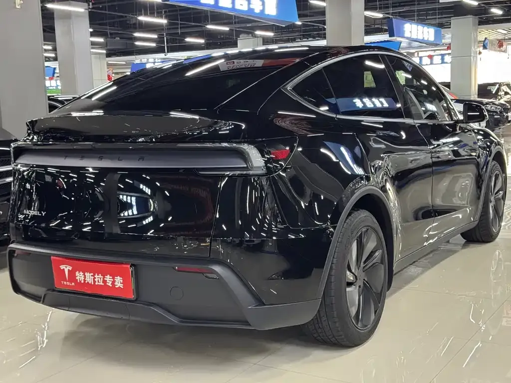 Tesla Model Y — фото 5