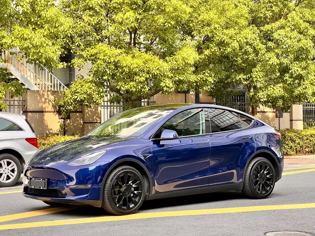 Tesla Model Y — фото 1