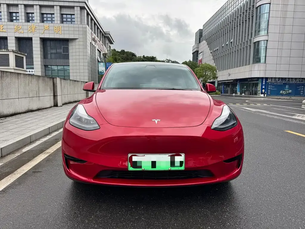 Tesla Model Y — фото 9