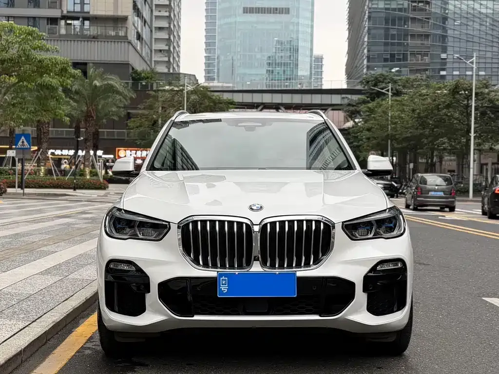 BMW X5 (Import) — фото 9