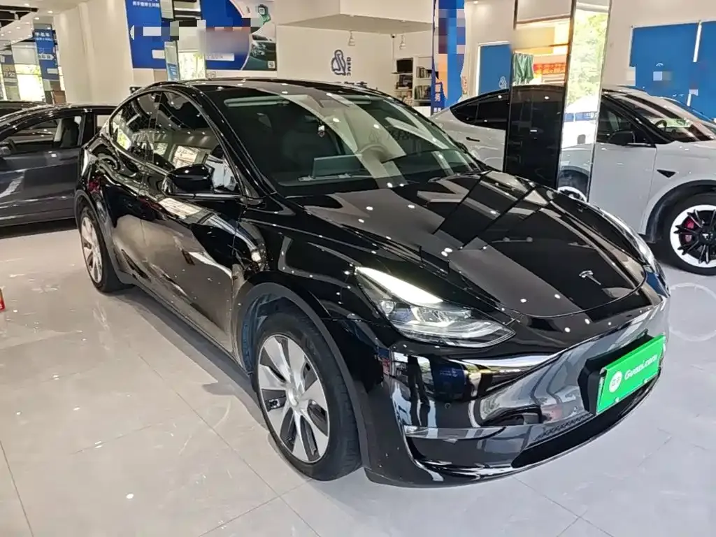 Tesla Model Y — фото 10