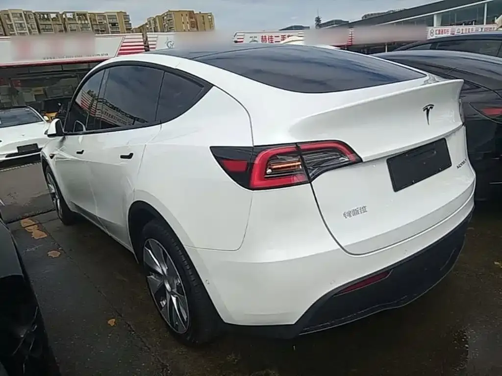 Tesla Model Y — фото 10