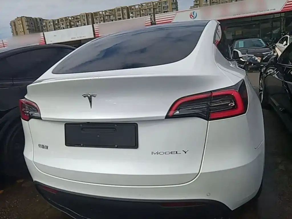 Tesla Model Y — фото 2