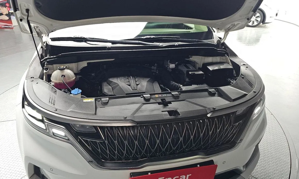 Kia Carnival — фото 10