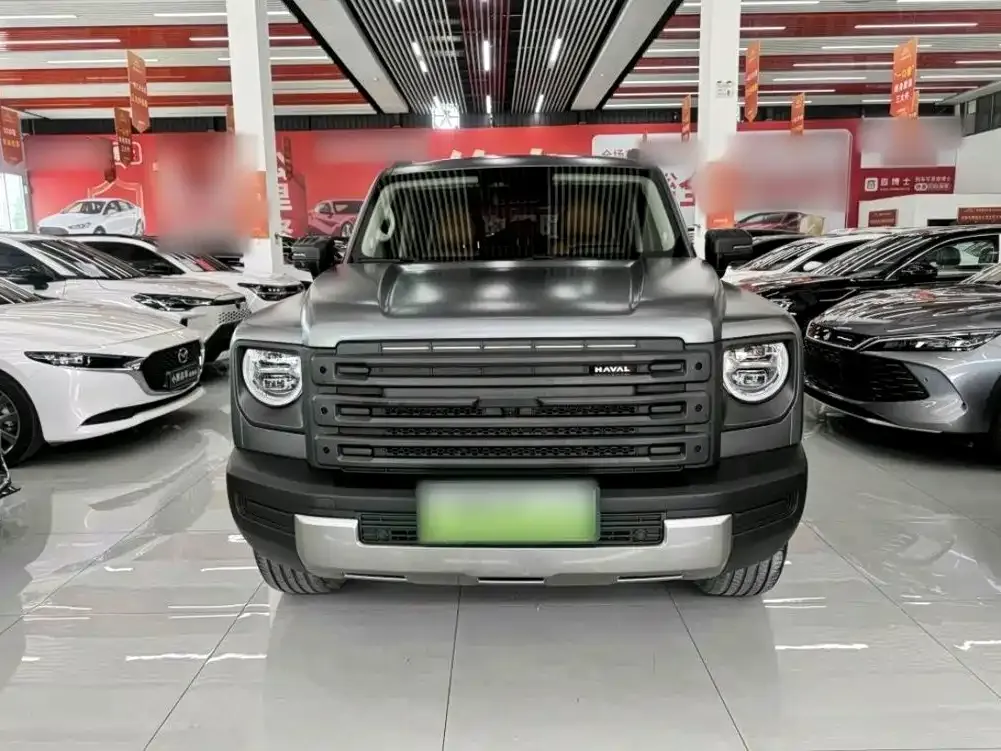 Haval Menglong New Energy — фото 9