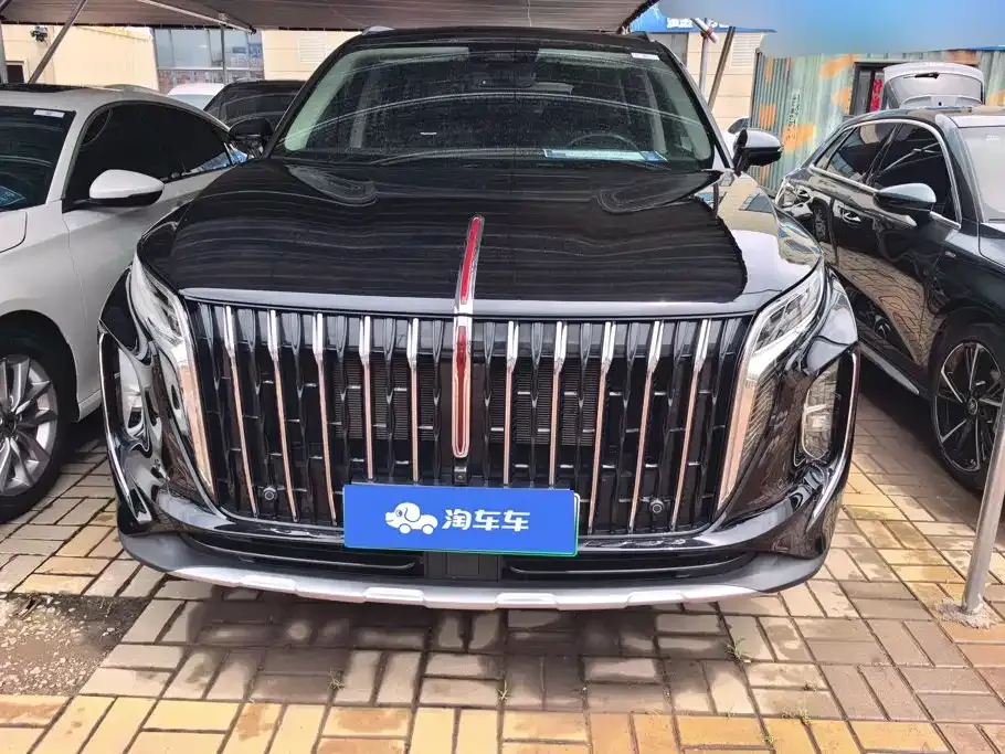 Hongqi HS7 PHEV 2024 из CN, фото 8