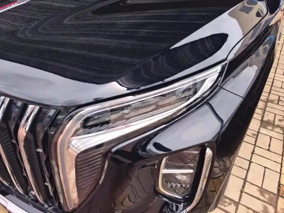 Hongqi HS7 PHEV 2024 из CN, фото 3