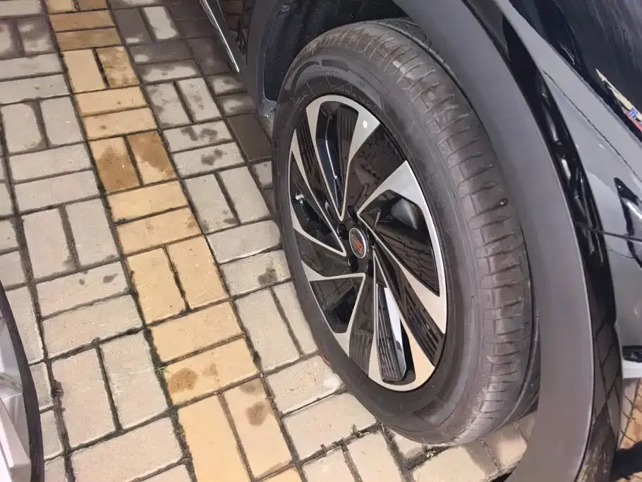 Hongqi HS7 PHEV 2024 из CN, фото 7