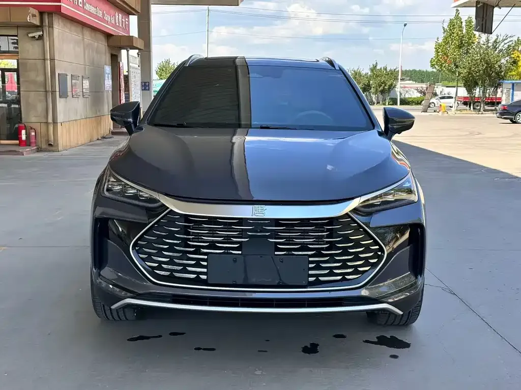 BYD Tang New Energy 2024 из CN, фото 6