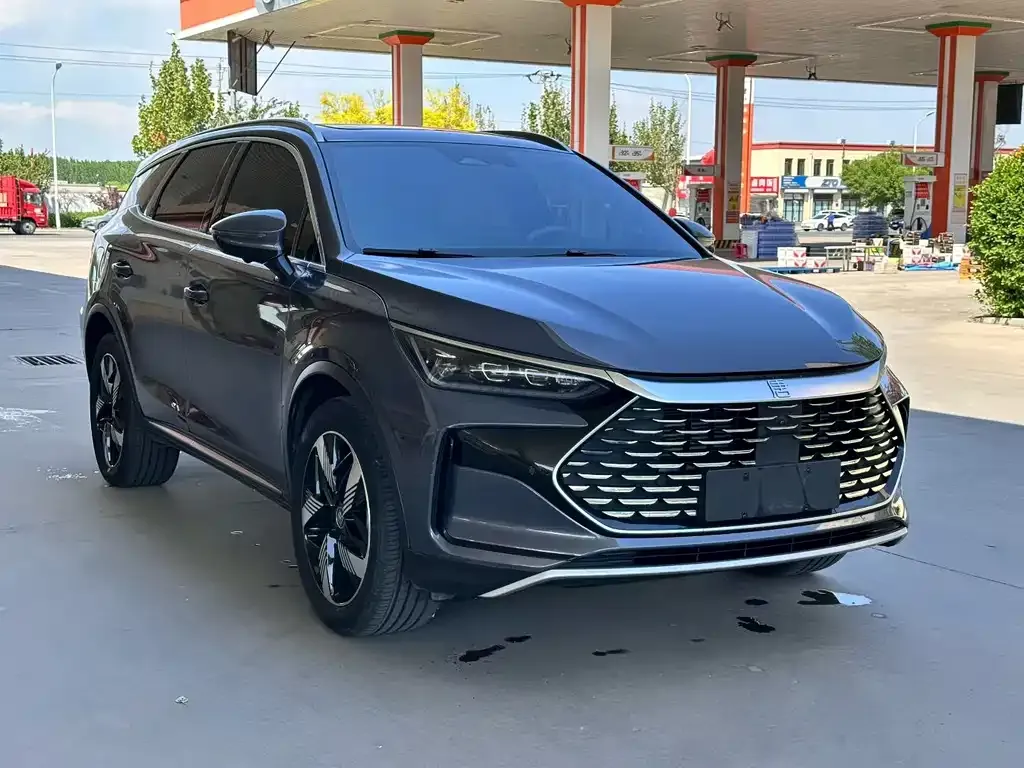 BYD Tang New Energy 2024 из CN, фото 5