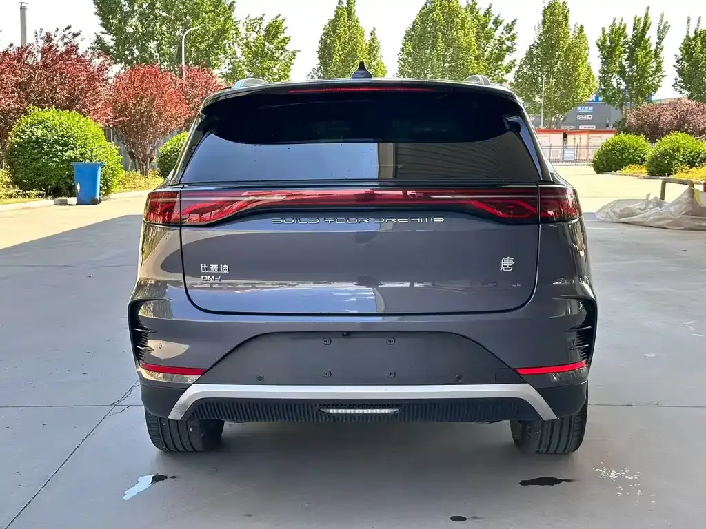 BYD Tang New Energy 2024 из CN, фото 8