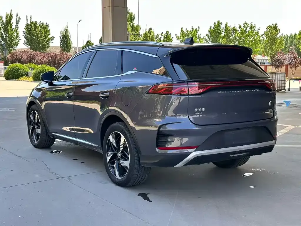 BYD Tang New Energy 2024 из CN, фото 4