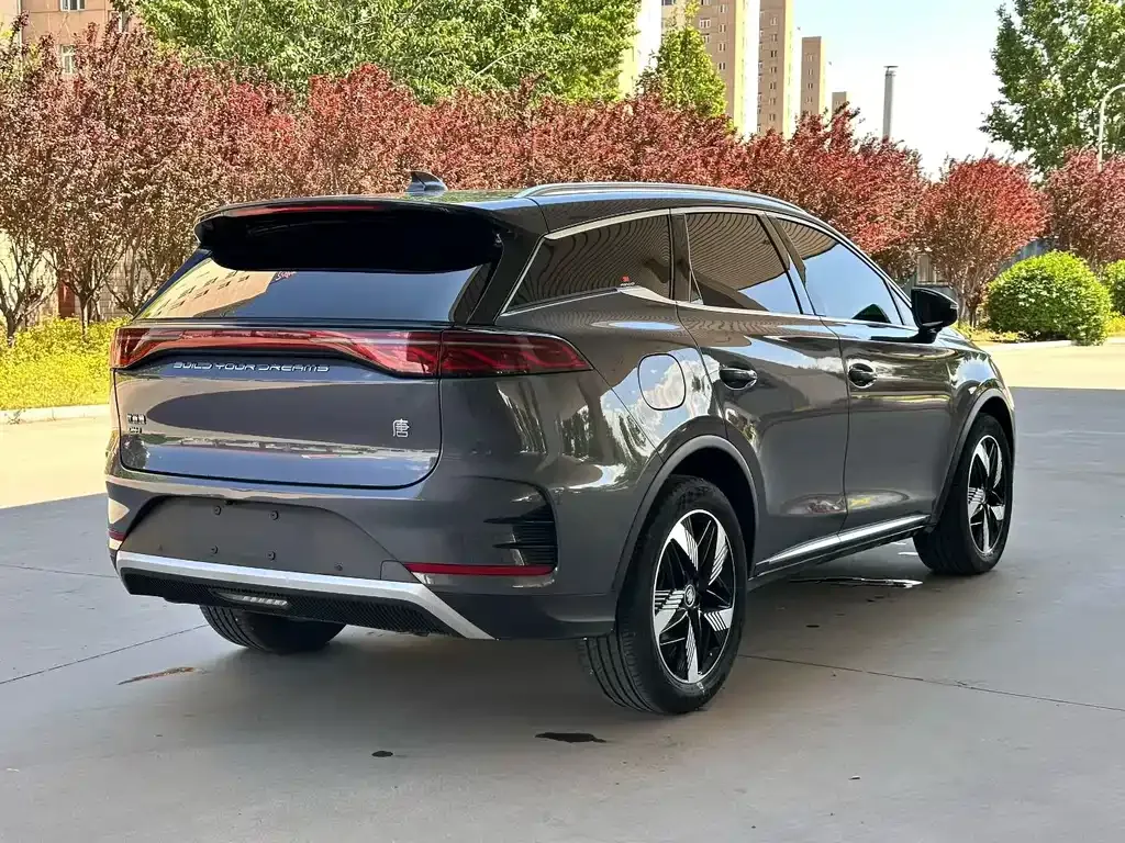 BYD Tang New Energy 2024 из CN, фото 9
