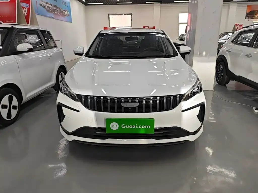 Geely Binrui — фото 10