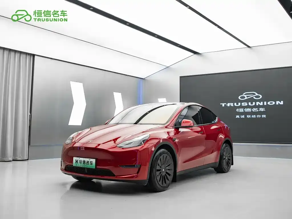 Tesla Model Y — фото 1