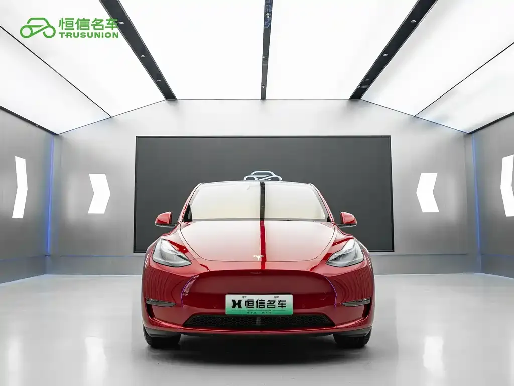 Tesla Model Y — фото 4