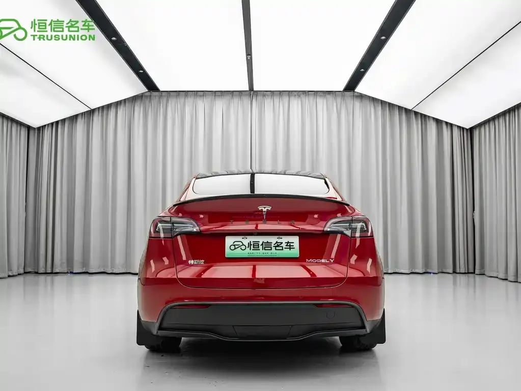 Tesla Model Y — фото 10