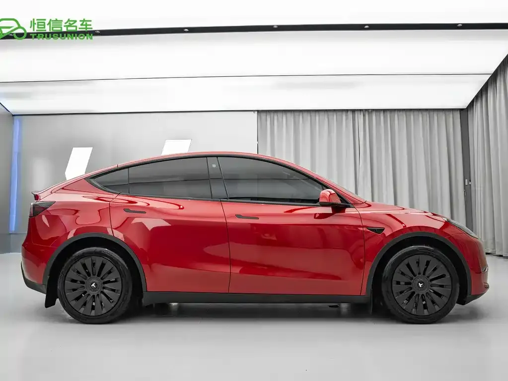 Tesla Model Y — фото 3