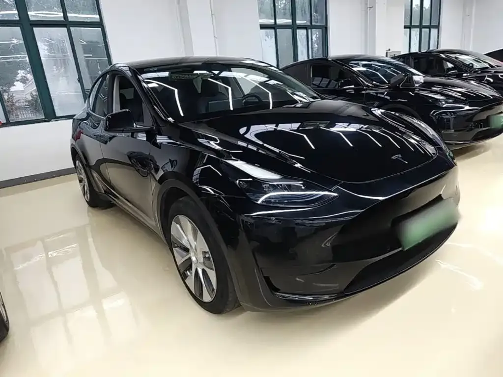 Tesla Model Y — фото 9