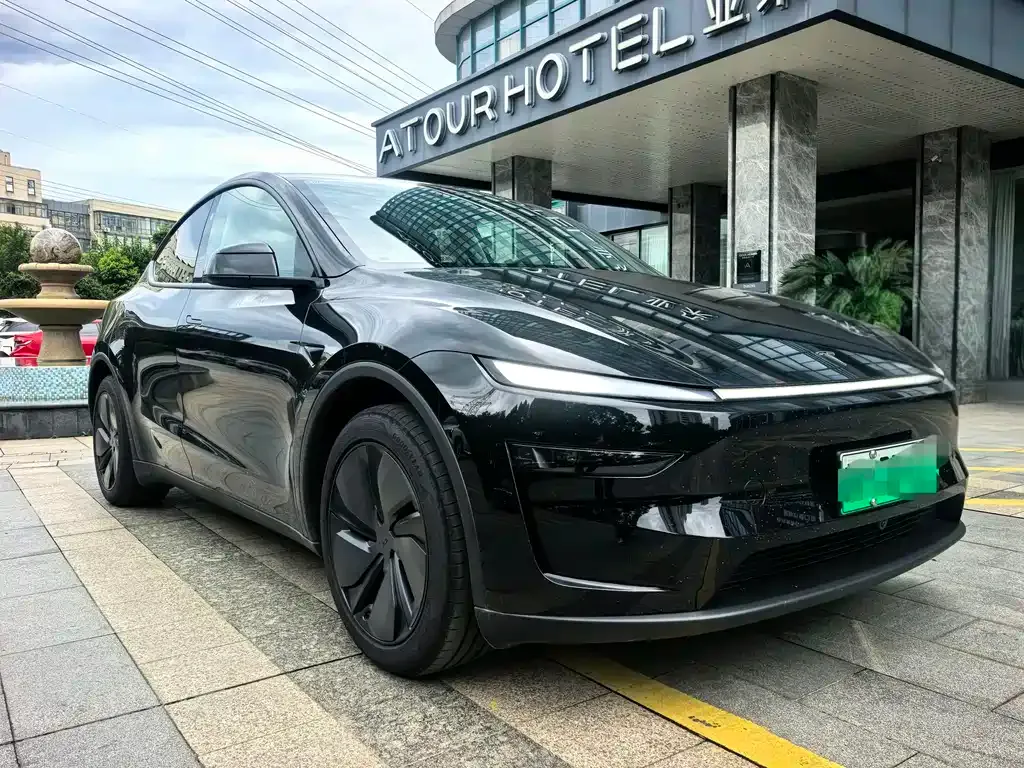 Tesla Model Y — фото 10
