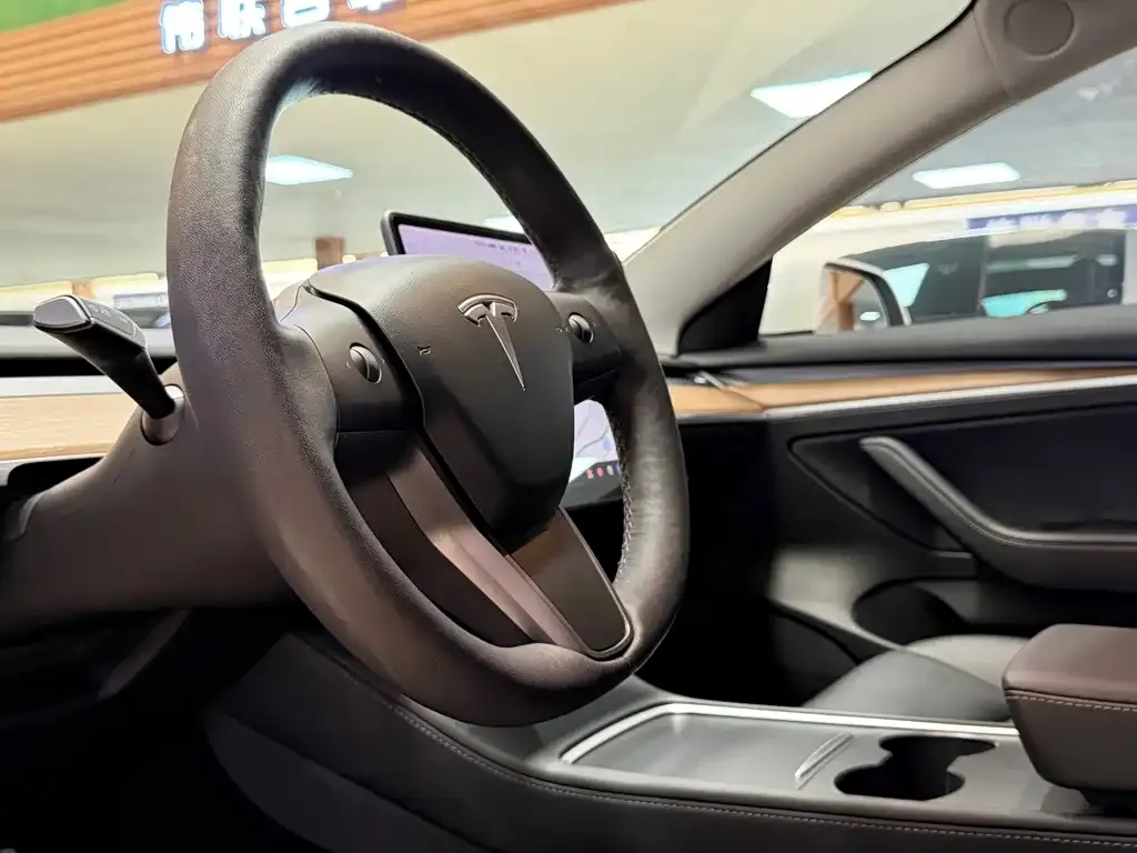 Tesla Model 3 — фото 2