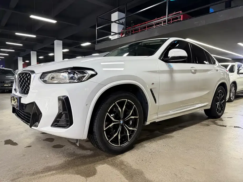 BMW X4 — фото 1