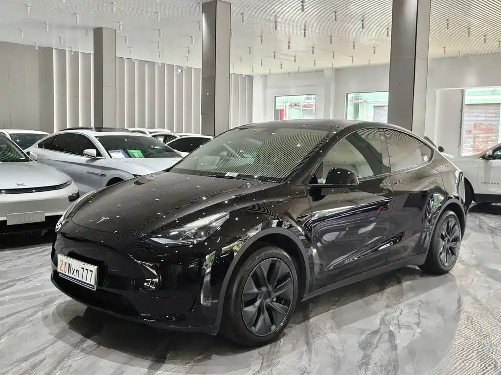 Tesla Model Y — фото 1