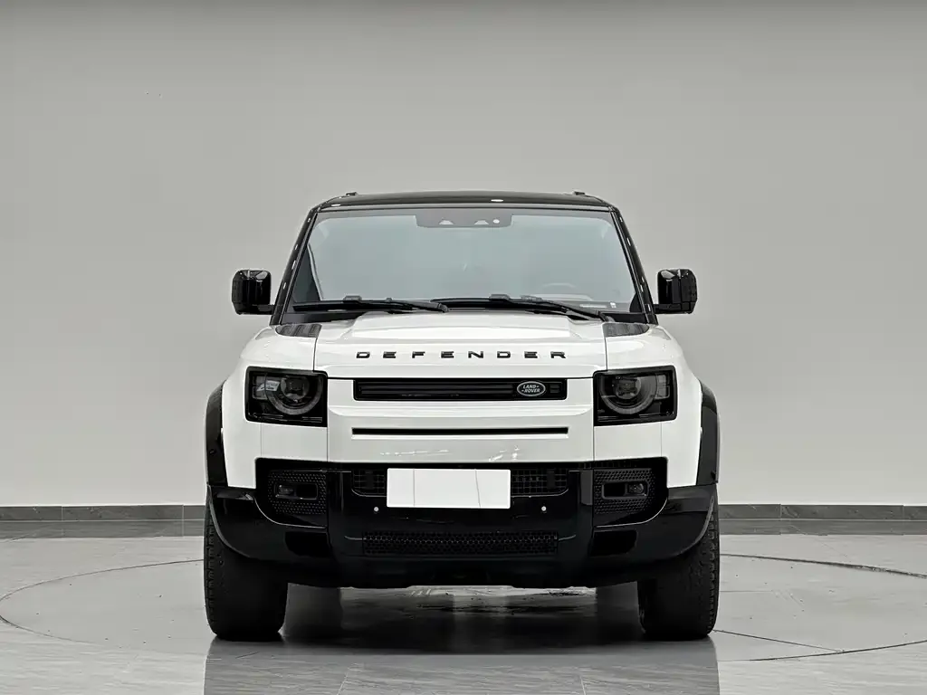 Land Rover Defender — фото 8